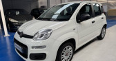 Fiat Panda III 1.2 8v 69ch Pop   Saint-Maur-des-Fossés 94