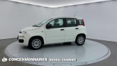 Annonce Fiat Panda occasion Essence MY21 1.0 70 ch Hybride BSG S/S City Life  Carcassonne
