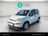 Fiat Panda Panda 1.0 70 ch Hybrid BSG S/S  5p   Toulouse 31