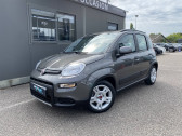Fiat Panda occasion année 2022 boite Manuelle Annonce Fiat Panda occasion Essence Panda 1.0 70 ch Hybride BSG S/S City Life 5p à Mérignac