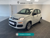 Fiat Panda Panda Srie 2 Business 1.2 69 ch Lounge Business   Le Havre 76