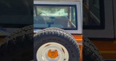 Annonce Ford Bronco occasion Essence   LYON