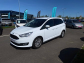 Annonce Ford C-Max occasion Essence Grand C-MAX 1.0 EcoBoost 125 S&S Trend 5p  Toulouse