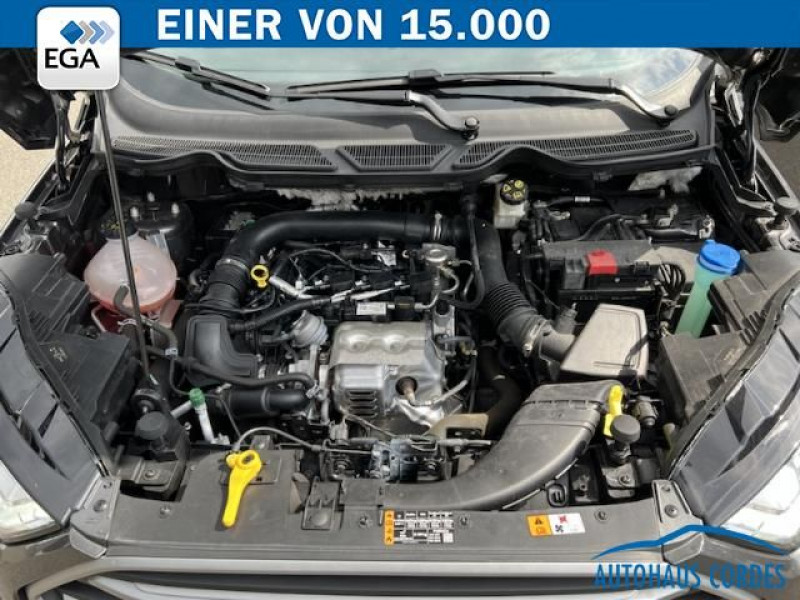 Ford EcoSport 1.0 EcoBoost 125ch BVM  occasion  Beaupuy - photo n9