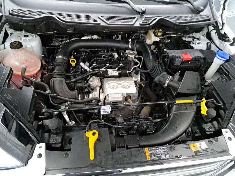 Ford EcoSport EcoSport 1.0 EcoBoost 100ch S&S BVM6 Titanium 5p  occasion  Mont de Marsan - photo n13