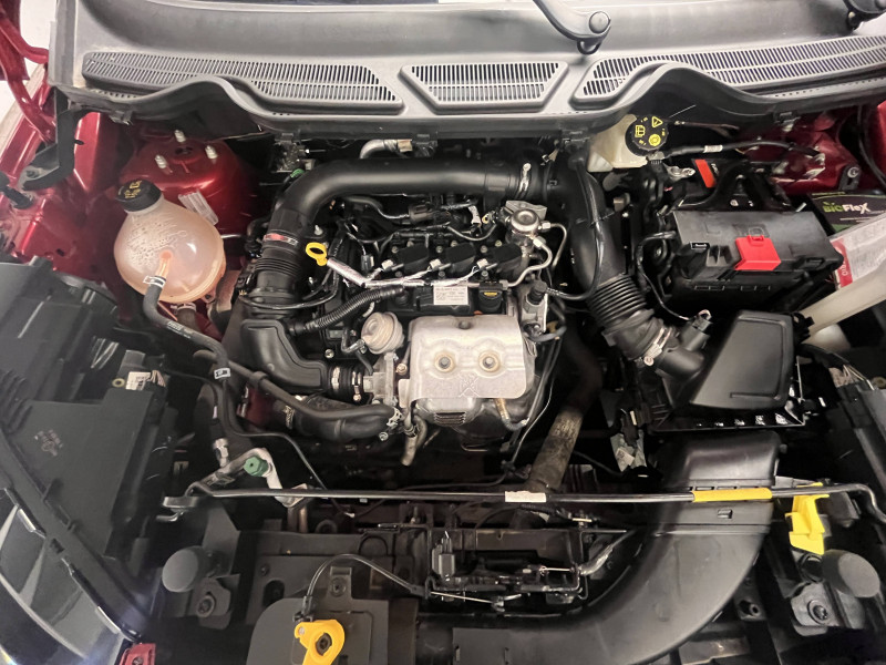 Ford EcoSport EcoSport 1.5 EcoBlue 125ch S&S BVM6 Titanium 5p  occasion � PERIGUEUX - photo n�9