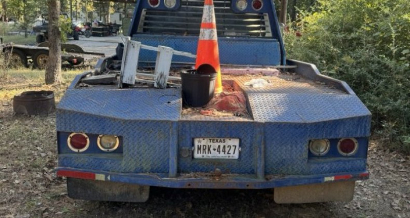 Ford F-350 F-350 1993 - photo n°3 Ford F-350 F-350  occasion à LYON - photo n°3