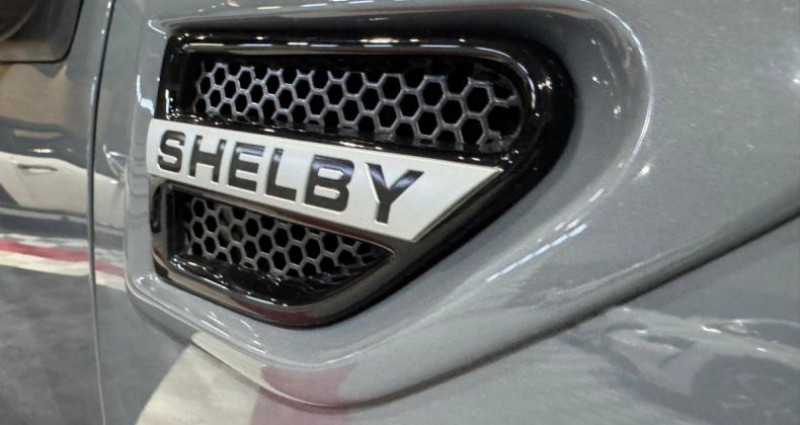 Ford F1 F 5.0 V8 SHELBY SUPER SNAKE 400CH - IMMAT FRANCAISE  occasion � ROQUEBRUNE SUR ARGENS - photo n�3