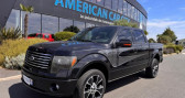 Annonce Ford F1 occasion Essence HARLEY DAVIDSON V8 6,2L - Vente pro  Le Coudray-montceaux