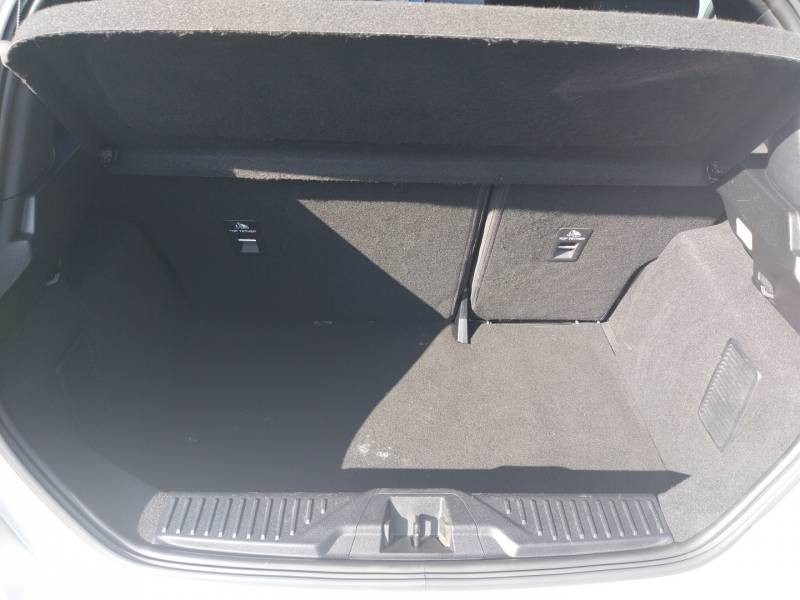 Ford Fiesta 1.0 Flexifuel 95 ch S&S BVM6 ST-Line  occasion  L'Isle-Jourdain - photo n15