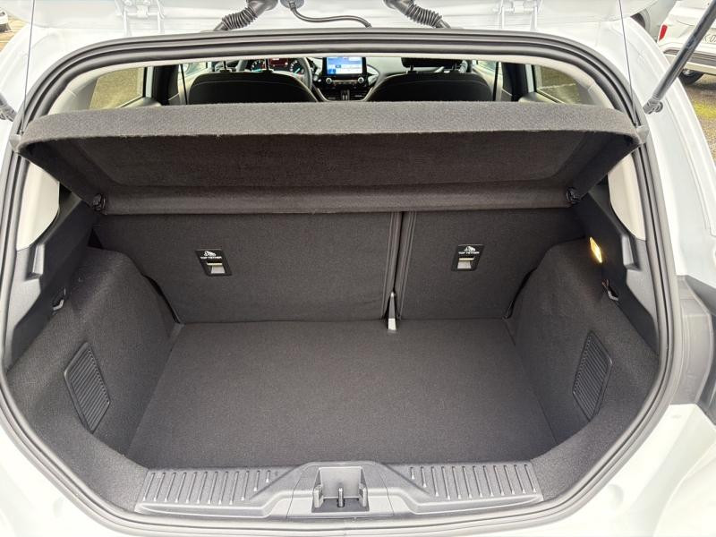 Ford Fiesta 1.0 Flexifuel 95ch Titanium Business 5p  occasion � Dijon - photo n�13