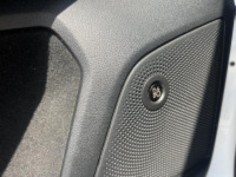 Ford Focus SW 2.0 EcoBlue 150ch Vignale BVA  occasion � Dole - photo n�20