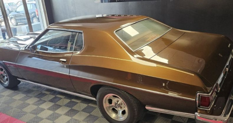 Ford Gran Torino 351 CI 5.8L V8  occasion  Champs-sur-Yonne - photo n2