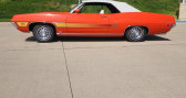 Annonce Ford Gran Torino occasion Essence GT  LYON