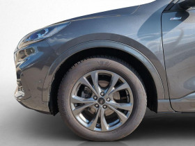 Ford Kuga 1.5 EcoBlue 120 BVA  occasion  Beaupuy - photo n10
