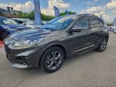 Ford Kuga 1.5 EcoBlue 120ch ST-Line Business   Beaune 21