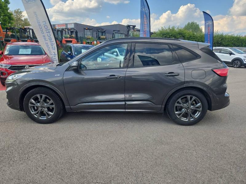 Ford Kuga 1.5 EcoBlue 120ch ST-Line Business  occasion  Beaune - photo n8