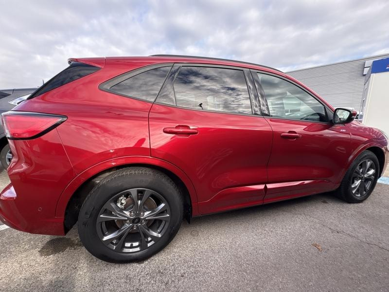 Ford Kuga 2.0 EcoBlue 120 ch ST-Line X BVA  occasion  Barberey-Saint-Sulpice - photo n4