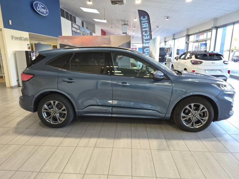 Ford Kuga 2.0 EcoBlue 120ch ST-Line X Powershift  occasion  Chaumont - photo n4
