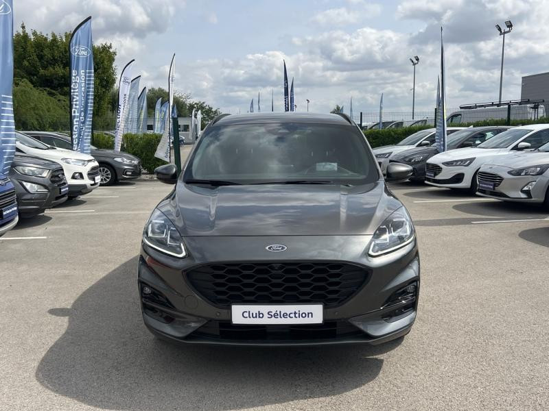 Ford Kuga 2.0 EcoBlue 120ch ST-Line X Powershift  occasion  Dijon - photo n2