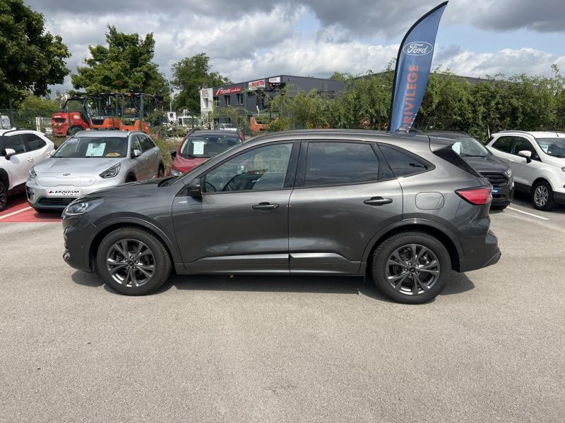 Ford Kuga 2.0 EcoBlue 120ch ST-Line X Powershift  occasion  Dijon - photo n8