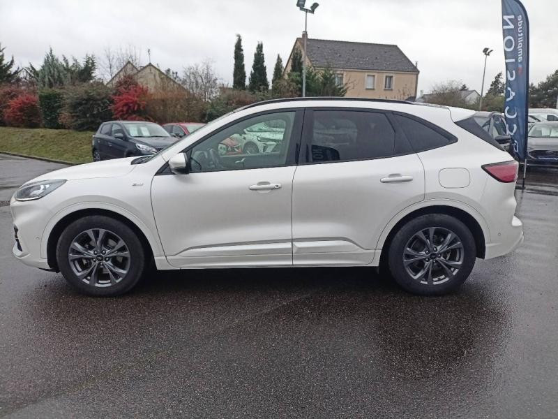 Ford Kuga 2.0 EcoBlue 150ch mHEV ST-Line X  occasion  Olivet - photo n8