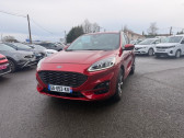 Annonce Ford Kuga occasion Diesel 2.0 ECOBLUE 150CH MHEV ST-LINE � Albi