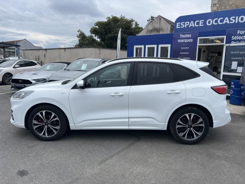 Ford Kuga 2.0 EcoBlue 150ch mHEV ST-Line  occasion  Fleury-les-Aubrais - photo n8