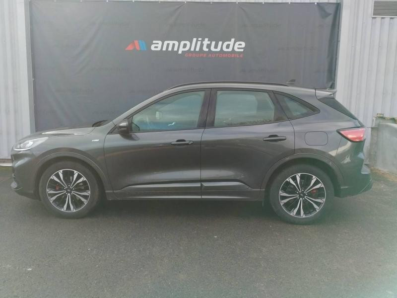 Ford Kuga 2.0 EcoBlue 150ch mHEV ST-Line  occasion � Varennes-Vauzelles - photo n�8