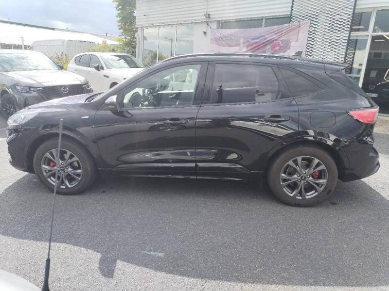 Ford Kuga 2.0 EcoBlue 190ch ST-Line Business BVA i-AWD  occasion  MACON - photo n8