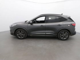 Ford Kuga 2.0 tdci 120ch st-line powershift  occasion � Ganges - photo n�2