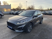 Annonce Ford Kuga occasion Hybride 2.5 Duratec 190ch FHEV E85 ST-Line Business BVA  Beaune