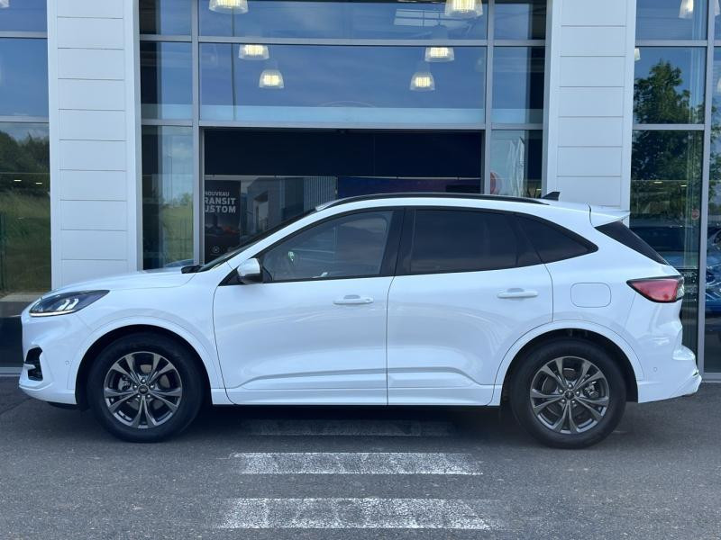 Ford Kuga 2.5 Duratec 190ch FHEV E85 ST-Line Business BVA  occasion  Gien - photo n8