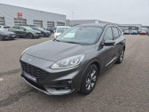 Annonce Ford Kuga occasion Hybride 2.5 Duratec 190ch FHEV E85 ST-Line Business BVA  Amilly
