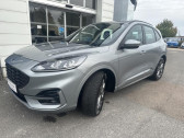 Annonce Ford Kuga occasion Hybride 2.5 Duratec 190ch FHEV E85 ST-Line Business BVA  Auxerre
