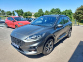 Ford Kuga 2.5 Duratec 190ch FHEV E85 ST-Line BVA  2024 - annonce de voiture en vente sur Auto Sélection.com