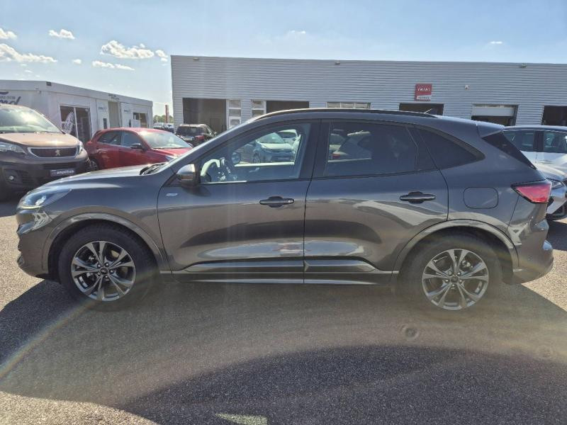Ford Kuga 2.5 Duratec 190ch FHEV E85 ST-Line BVA  occasion  Amilly - photo n8