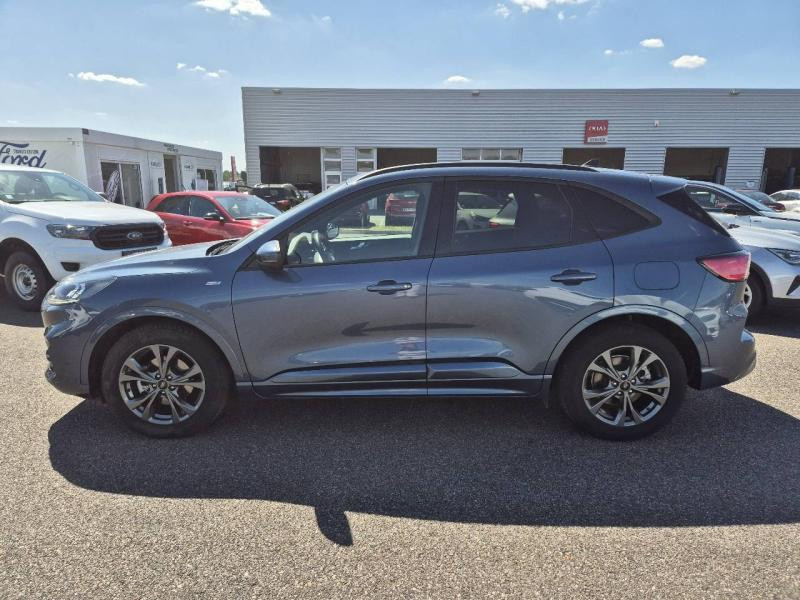 Ford Kuga 2.5 Duratec 190ch FHEV E85 ST-Line BVA  occasion  Amilly - photo n8