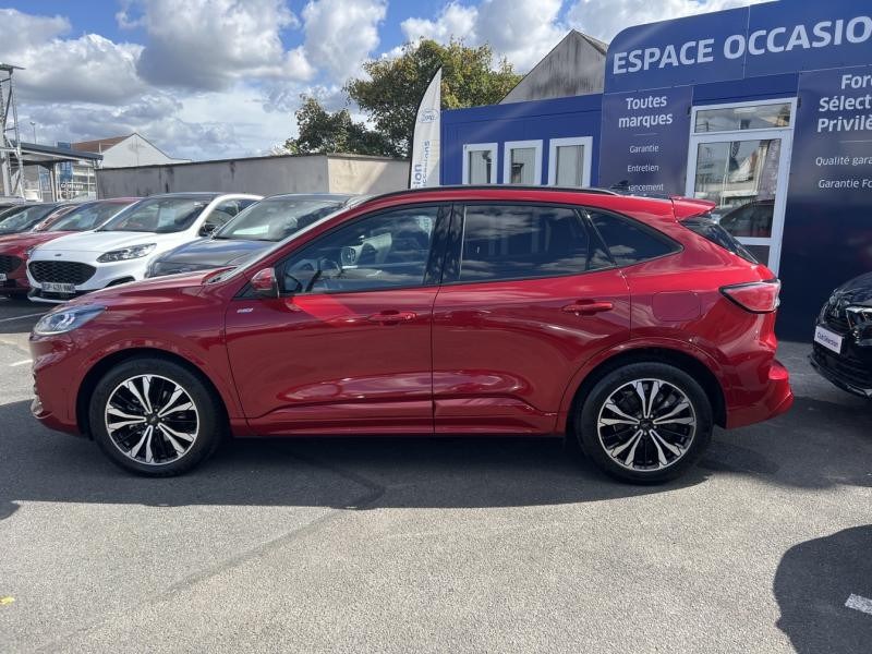 Ford Kuga 2.5 Duratec 190ch FHEV E85 ST-Line X BVA  occasion  Fleury-les-Aubrais - photo n8