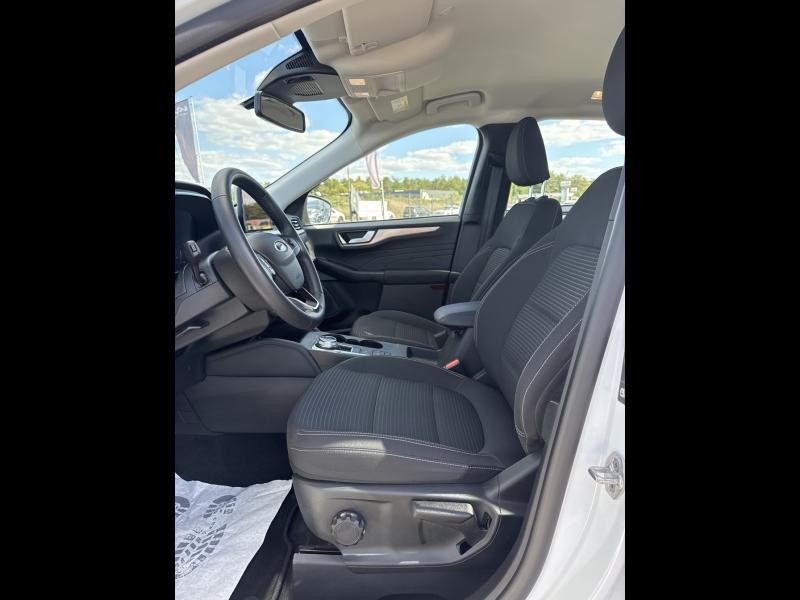 Ford Kuga 2.5 Duratec 190ch FHEV E85 Titanium BVA  occasion  Amilly - photo n10