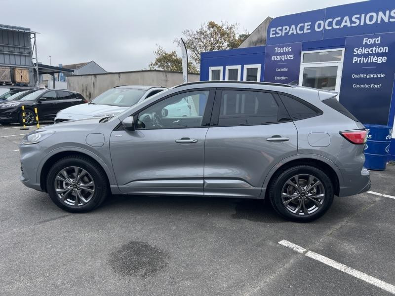 Ford Kuga 2.5 Duratec 225ch PHEV ST-Line Business BVA  occasion  Fleury-les-Aubrais - photo n8