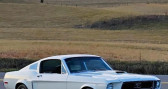 Ford Mustang   1968 - annonce de voiture en vente sur Auto Sélection.com