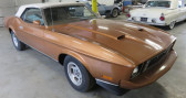 Ford Mustang occasion année 1973 boite Automatique Annonce Ford Mustang occasion Essence à SAUVAGNAT SAINTE MARTHE