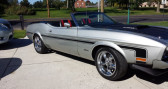 Annonce Ford Mustang occasion Essence   LYON