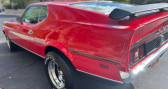 Ford Mustang occasion 1971 Ford Mustang   à LYON 69