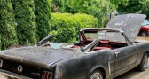 Annonce Ford Mustang occasion Essence   LYON