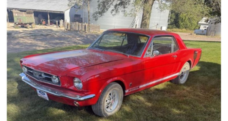 Ford Mustang  1966 - photo n°6 Ford Mustang   occasion à LYON - photo n°6