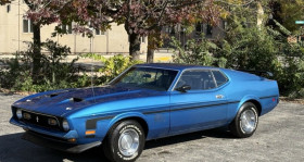 Ford Mustang occasion 1971 mise en vente à LYON par le garage GOOD TIMERS - photo n°1