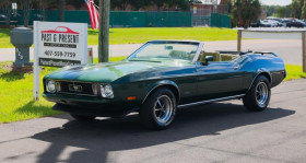 Ford Mustang occasion 1973 mise en vente à LYON par le garage GOOD TIMERS - photo n°1
