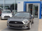 Ford Mustang occasion Gris année 2015 boite Manuelle Annonce Ford Mustang occasion Essence 2.3 eco Boost Cabriolet à Beaupuy